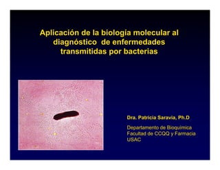 Aplicación de la biología molecular al
   diagnóstico de enfermedades
     transmitidas por bacterias




                       Dra. Patricia Saravia, Ph.D
                       Departamento de Bioquímica
                       Facultad de CCQQ y Farmacia
                       USAC
 
