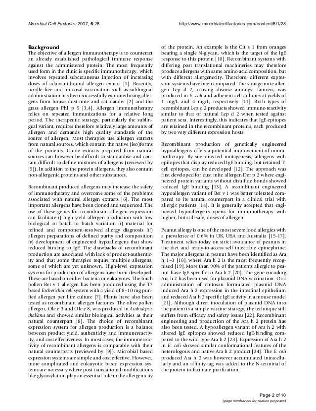 Can dogs be allergic to cats picture