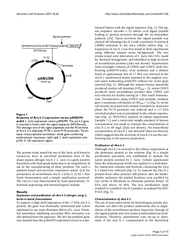 Peanut allergy essay picture