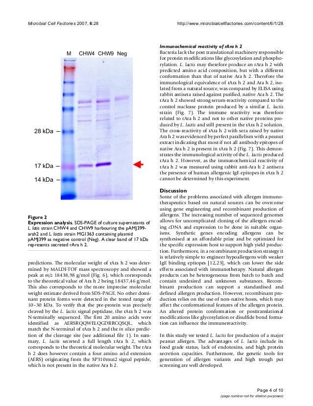 Allergy types picture