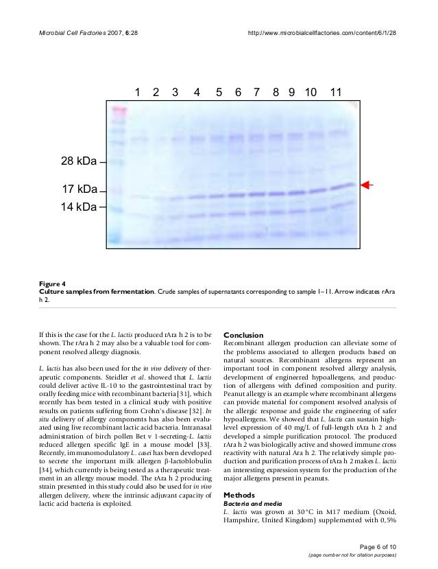 Food allergy essay picture