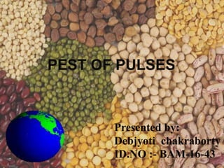 PEST OF PULSES
Presented by:
Debjyoti chakraborty
ID.NO :- BAM-16-43
 