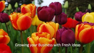 Growing your Business with Fresh Ideas
 