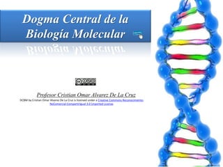 Dogma Central de la
Biología Molecular

Profesor Cristian Omar Alvarez De La Cruz
DCBM by Cristian Omar Alvarez De La Cruz is licensed under a Creative Commons ReconocimientoNoComercial-CompartirIgual 3.0 Unported License.

 