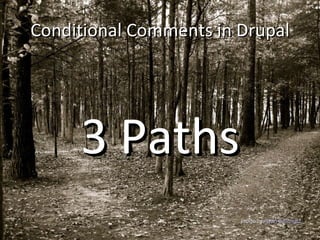 Conditional Comments in Drupal 3 Paths Image by  Ryan B Schultz 
