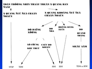 TOÅN THÖÔNG NHÌN THAÁY TREÂN X QUANG BAN
ÑAÀU
X QUANG ÑUÛ ÑEÅ CHAÅN
ÑOAÙN

DÒ DAÏNG
XÖÔNG

XÔ CÖÙNG
KHU TRUÙ

X QUANG KHOÂNG ÑUÛ ÑEÅ
CHAÅN ÑOAÙN

DD
ÑÓA

CAÙC DD
KHAÙC

ROÄNG OÁNG
TUÛY

DD
QUANH
SOÁNG

SIEÂU AÂM

 