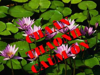 N
Â
A
H
H
N
C
Ø N
A Ô
H
T
M
Ù
A
C

 