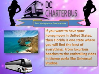 Dc charter bus services