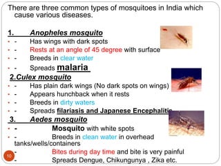 10
There are three common types of mosquitoes in India which
cause various diseases.
1. Anopheles mosquito
• - Has wings with dark spots
• - Rests at an angle of 45 degree with surface
• - Breeds in clear water
• - Spreads malaria
2.Culex mosquito
• - Has plain dark wings (No dark spots on wings)
• - Appears hunchback when it rests
• - Breeds in dirty waters
• - Spreads filariasis and Japanese Encephalitis
3. Aedes mosquito
• - Mosquito with white spots
• - Breeds in clean water in overhead
tanks/wells/containers
• - Bites during day time and bite is very painful
• - Spreads Dengue, Chikungunya , Zika etc.
 