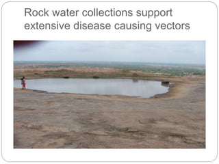 Rock water collections support
extensive disease causing vectors
 