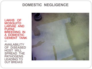DOMESTIC NEGLIGENCE
LAKHS OF
MOSQUITO
LARVAE AND
PUPAE
BREEDING IN
A DOMESTIC
CEMENT TANK
--
AVAILABILITY
OF DISEASED
HOST WILL
SPREAD THE
PATHOGENS
LEADING TO
OUT BREAKS
 