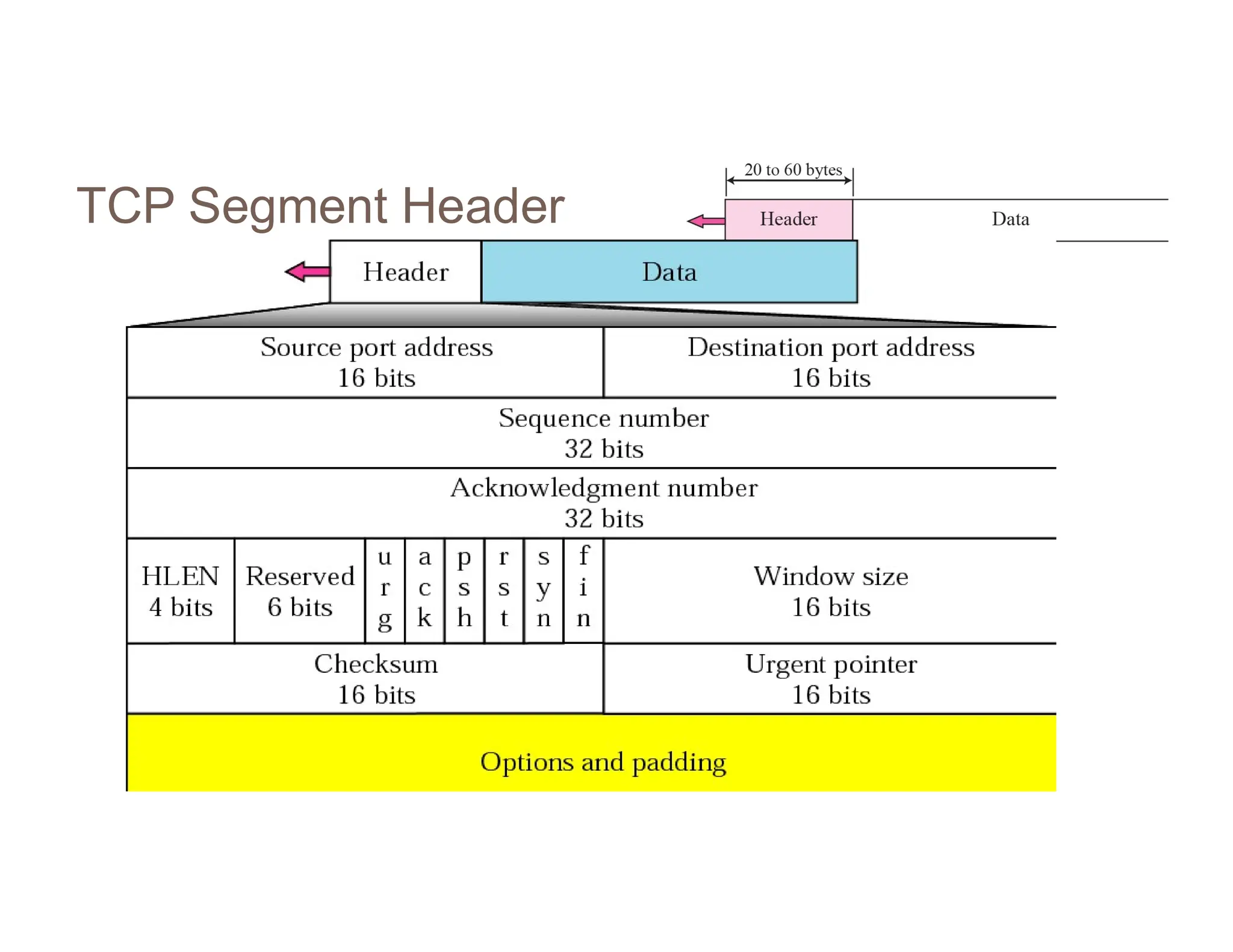 TCP Segment Header
 