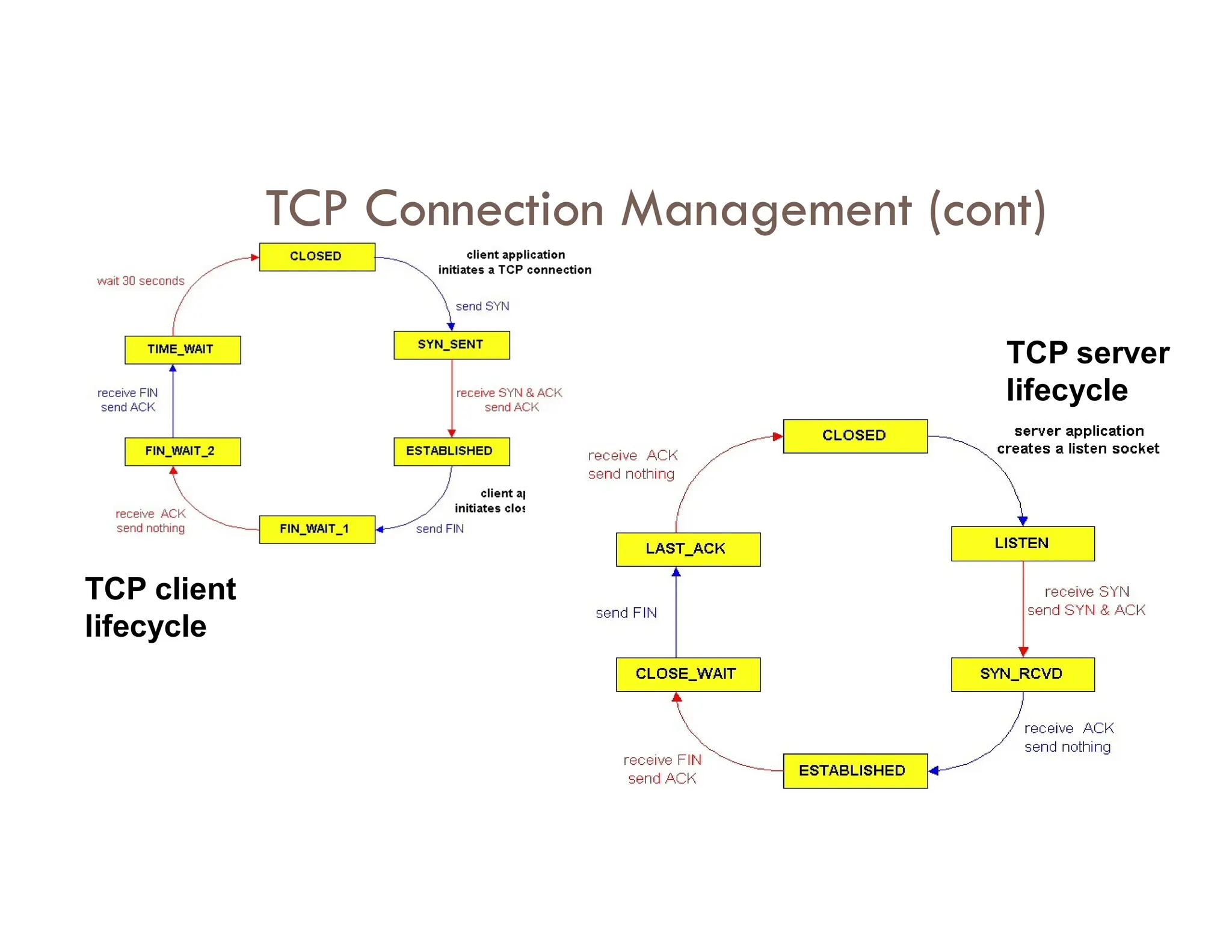 TCP Connection Management (cont)
TCP server
lifecycle
TCP client
lifecycle
 
