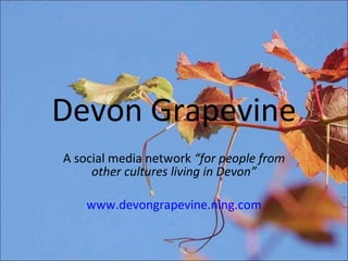 Devon Grapevine A social media network  “for people from other cultures living in Devon” www.devongrapevine.ning.com 