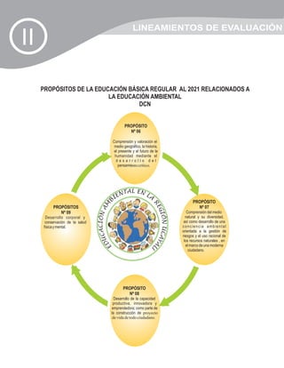 LINEAMIENTOS DE EVALUACIÓN
II

     PROPÓSITOS DE LA EDUCACIÓN BÁSICA REGULAR AL 2021 RELACIONADOS A
                          LA EDUCACIÓN AMBIENTAL
                                   DCN


                                                      PROPÓSITO
                                                        Nº 06

                                              Comprensión y valoración el
                                               medio geográfico, la historia,
                                               el presente y el futuro de la
                                               humanidad mediante el
                                                desarrollo del
                                                  pensamiento crítico.




                                                     TAL EN L
                                                  IEN         A
                                            B                                                  PROPÓSITO
                                                                        R
                                              M




                                                                             EG




           PROPÓSITOS                                                                            Nº 07
                                     CACIÓN A




              Nº 09                                                                         Comprensión del medio
                                                                                I
                                                                            ÓN UCAY




       Desarrollo corporal y                                                               natural y su diversidad,
       conservación de la salud                                                           así como desarrollo de una
      física y mental.                                                                   conciencia ambiental
                                                                                         orientada a la gestión de
                                                                                         riesgos y el uso racional de
                                   DU




                                                                                          los recursos naturales , en
                                                                                    AL




                                                                                           el marco de una moderna
                                  E




                                                                        I
                                                                                             ciudadano.




                                                     PROPÓSITO
                                                       Nº 08
                                               Desarrollo de la capacidad
                                              productiva, innovadora y
                                             emprendedora; como parte de
                                             la construcción de proyecto
                                              de vida de todo ciudadano.
 