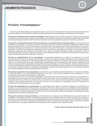 En la Educación Básica Regular, las decisiones sobre el currículo se han tomado sobre la base de los aportes teóricos de las
corrientes cognitivas y sociales del aprendizaje; las cuales sustentan el enfoque pedagógico, que se expresa a continuación:
Principio de construcción de los propios aprendizajes: El aprendizaje es un proceso de construcción: interno, activo, individual
e interactivo con el medio social y natural. Los estudiantes, para aprender, utilizan estructuras lógicas que dependen de variables
como los aprendizajes adquiridos anteriormente y el contexto socio cultural, geográfico, lingüístico y económico - productivo.
Principio de necesidad del desarrollo de la comunicación y el acompañamiento en los aprendizajes: La interacción entre el
estudiante y sus docentes, sus pares y su entorno, se produce, sobre todo, a través del lenguaje; recogiendo los saberes de los
demás y aportando ideas y conocimientos propios que le permiten ser consciente de qué y cómo está aprendiendo y, a su vez,
desarrollar estrategias para seguir en un continuo aprendizaje. Este intercambio lo lleva a reorganizar las ideas y le facilita su
desarrollo. Por ello, se han de propiciar interacciones ricas, motivadoras y saludables en las aulas; así como situaciones de
aprendizaje adecuadas para facilitar la construcción de los saberes, proponer actividades variadas y graduadas, orientar y
conducir las prácticas, promover la reflexión y ayudar a que los estudiantes elaboren sus propias conclusiones, de modo que sean
capaces de aprender a aprender y aprender a vivir juntos.
Principio de significatividad de los aprendizajes: El aprendizaje significativo es posible si se relacionan los nuevos
conocimientos con los que ya se poseen, pero además si se tienen en cuenta los contextos, la realidad misma, la diversidad en la
cual está inmerso el estudiante. Los aprendizajes deben estar interconectados con la vida real y las prácticas sociales de cada
cultura. Si el docente logra hacer que el aprendizaje sea significativo para los estudiantes, hará posible el desarrollo de la
motivación para aprender y la capacidad para desarrollar nuevos aprendizajes y promover la reflexión sobre la construcción de los
mismos. Se deben ofrecer experiencias que permitan aprender en forma profunda y amplia, para ello es necesario dedicar tiempo a
lo importante y enseñar haciendo uso de diversas metodologías; mientras más sentidos puestos en acción, mayores conexiones
que se pueden establecer entre el aprendizaje anterior y el nuevo.
Principio de organización de los aprendizajes: Las relaciones que se establecen entre los diferentes conocimientos se amplían
a través del tiempo y de la oportunidad de aplicarlos en la vida, lo que permite establecer nuevas relaciones con otros
conocimientos y desarrollar la capacidad para evidenciarlas.
Los aprendizajes se dan en los procesos pedagógicos, entendidos como las interacciones en las sesiones de enseñanza y
aprendizaje; en estos procesos hay que considerar que tanto el docente como los estudiantes portan en sí la influencia y los
condicionamientos de su salud, de su herencia, de su propia historia, de su entorno escolar, sociocultural, ecológico, ambiental y
mediático; estos aspectos intervienen en el proceso e inciden en los resultados de aprendizaje, por ello la importancia de
considerarlos en la organización de los aprendizajes.
Principio de integralidad de los aprendizajes: Los aprendizajes deben abarcar el desarrollo integral de los estudiantes, de
acuerdo con las características individuales de cada persona. Por ello, se debe propiciar la consolidación de las capacidades
adquiridas por los estudiantes en su vida cotidiana y el desarrollo de nuevas capacidades a través de todas las áreas del currículo.
En este contexto, es imprescindible también el respeto de los ritmos individuales, estilos de aprendizaje y necesidades educativas
especiales de los estudiantes, según sea el caso.
Principio de evaluación de los aprendizajes: La metacognición y la evaluación en sus diferentes formas; sea por el docente, el
estudiante u otro agente educativo; son necesarias para promover la reflexión sobre los propios procesos de enseñanza y
aprendizaje. Los estudiantes requieren actividades pedagógicas que les permitan reconocer sus avances y dificultades; acercarse
al conocimiento de sí mismos; autoevaluarse analizando sus ritmos, características personales, estilos; aceptarse y superarse
permanentemente, para seguir aprendiendo de sus aciertos y errores.Aprenden a ser y aprenden a hacer.
* Fuente: Diseño Curricular Nacional ,Págs. 18 y 19
Principios Psicopedagógicos *
LINEAMIENTOS PEDAGÓGICOS
II
 
