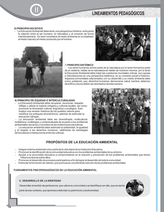 6) PRINCIPIO HOLÍSTICO
?La EducaciónAmbiental debe tener una perspectiva holística, enfocando
la relación entre el ser humano, la naturaleza y el universo de forma
interdisciplinaria. Es decir considerar al medio ambiente en su totalidad,
el medio natural y el medio producido por el hombre.
LINEAMIENTOS PEDAGÓGICOS
II
7) PRINCIPIO SISTÉMICO
?Los seres humanos somos parte de la naturaleza por lo tanto formamos parte
de un sistema, hablar de la naturaleza es hablar de nosotros mismos, por lo tanto
la Educación Ambiental debe tratar las cuestiones mundiales criticas, sus causas
e interrelaciones en una perspectiva sistémica, en su contexto social e histórico.
Aspectos primordiales relacionados con su desarrollo y su medio ambiente tales
como, población, paz, derechos humanos, democracia, salud, hambre, deterioro
de la flora y fauna deben ser abordados de esta manera.
8) PRINCIPIO DE EQUIDAD E INTERCULTURALIDAD
?La Educación Ambiental debe recuperar, reconocer, respetar,
reflejar y utilizar la historia indígena y culturas locales, así como
promover la diversidad cultural, lingüística y ecológica. Esto
implica una revisión histórica de los pueblos nativos para
modificar los enfoques etnocéntricos, además de estimular la
educación bilingüe.
?La educación ambiental debe ser diversificada, multicultural,
multiétnica, multilingüe y contextualizada de acuerdo a los problemas
ambientales cercanos y concretos de las instituciones educativas.
?La educación ambiental debe estimular la solidaridad, la igualdad
y el respeto a los derechos humanos, valiéndose de estrategias
democráticas e interacciones entre las culturas.
1) DESARROLLO DE LA IDENTIDAD
Desarrollar el sentido de pertenencia, que valore su comunidad y se identifique con ella, que se sienta
parte de ese contexto, que aprenda a defender su patrimonio y biodiversidad.
PROPÓSITOS DE LA EDUCACIÓN AMBIENTAL
?Integrar el tema ambiental como parte de la vida diaria de la Institución Educativa.
?Promover la identificación de la comunidad educativa con los problemas ambientales de su entorno.
?Ayudar a la comunidad educativa a comprometerse en la solución y prevención de los problemas ambientales que tienen
influencia directa sobre ellos.
?Promover el desarrollo de procesos participativos a fin de lograr el desarrollo de toda la comunidad.
?Estimular la formación de valores, que promuevan una eficiente solución de los problemas ambientales
FUNDAMENTOS PSICOPEDAGÓGICOS DE LA EDUCACIÓN AMBIENTAL
 