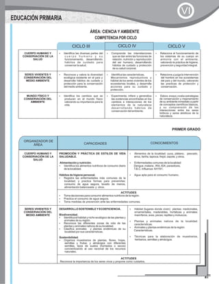 CUERPO HUMANO Y
CONSERVACIÓN DE LA
SALUD
?Identifica las diversas partes del
c u e r p o h u m a n o y s u
funcionamiento, desarrollando
hábitos de cuidado para
conservar la salud.
?Comprende las interrelaciones
que se dan entre las funciones de
relación, nutrición y reproducción
del ser humano; desarrollando
hábitos de cuidado y protección
de su salud corporal.
?Relaciona el funcionamiento de
los sistemas de su cuerpo en
armonía con el ambiente,
valorando la práctica de higiene,
prevención y seguridad integral.
SERES VIVIENTES Y
CONSERVACIÓN DEL
MEDIO AMBIENTE
?Reconoce y valora la diversidad
ecológica existente en el país y
desarrolla hábitos de cuidado y
protección para la conservación
del medio ambiente.
?Identifica las características,
Mecanismos reproductivos y
hábitat de los seres vivientes de los
ecosistemas locales, y desarrolla
acciones para su cuidado y
protección.
?Relaciona y juzga la intervención
del hombre en los ecosistemas
del país y del mundo, valorando
las practicas de protección y
conservación.
MUNDO FÍSICO Y
CONSERVACIÓN DEL
AMBIENTE
?Identifica los cambios que se
producen en el mundo físico
valorando su importancia para la
vida.
?Experimenta, infiere y generaliza
las evidencias encontradas en los
cambios e interacciones de los
elementos de la naturaleza
desarrollando hábitos de
conservación del ambiente.
?Elabora, ensaya y evalúa estrategias
de conservación y mejoramiento
de su ambiente inmediato a partir
de conceptos científicos básicos,
y su comprensión de las
interacciones entre los seres
bióticos y seres abióticos de la
naturaleza.
CICLO III CICLO V
ÁREA: CIENCIA Y AMBIENTE
COMPETENCIA POR CICLO
CICLO IV
EDUCACIÓN PRIMARIA
VI
CUERPO HUMANO Y
CONSERVACIÓN DE LA
SALUD
PROMOCIÓN Y PRÁCTICA DE ESTILOS DE VIDA
SALUDABLE.
Alimentación y nutrición.
?Identifica los alimentos nutritivos de consumo diario
de la localidad.
Hábitos de higiene personal.
?Registra las enfermedades más comunes de la
localidad; y practica formas para prevenirlas:
consumo de agua segura, lavado de manos,
alimentación balanceada y otros.
?Alimentos de la localidad: yuca, plátano, pescado,
arroz, fariña, tapioca, frejol, zapote, y otros.
?Enfermedades comunes de la localidad:
Dengue ,malaria , IRA, IDA, parasitosis,
T.B.C. Influenza AH1N1.
?Agua apta para el consumo humano.
ACTITUDES
?Toma decisiones para consumir alimentos nutritivos de la región.
?Practica el consumo de agua segura.
?Toma medidas de prevención ante las enfermedades comunes.
SERES VIVIENTES Y
CONSERVACIÓN DEL
MEDIO AMBIENTE
DESARROLLO SOSTENIBLEYECOEFICIENCIA.
Biodiversidad.
?Identifica el hábitat y nicho ecológico de las plantas y
animales de su región.
?Reconoce las diferentes zonas de vida de las
plantas y animales nativos de su localidad.
?Clasifica animales y plantas endémicas de su
localidad por sus características.
Sostenibilidad.
?Organiza muestrarios de plantas, flores, hojas,
semillas y frutos; y almácigos con diferentes
semillas, tipos de suelos (húmedos o secos)
concientizando al uso racional de los recursos
naturales.
?Hábitat (lugares donde viven) plantas: medicinales,
ornamentales, maderables, hortalizas y animales:
mamíferos, aves, peces, reptiles y moluscos.
?Plantas y animales nativos de la localidad:
características.
?Animales y plantas endémicas de la región:
Características.
?Técnicas para la elaboración de muestrarios,
herbarios, semillas y almácigos.
ACTITUDES
Reconoce la importancia de los seres vivos y propone como cuidarlos.
PRIMER GRADO
ORGANIZADOR DE
ÁREA
CONOCIMIENTOSCAPACIDADES
 