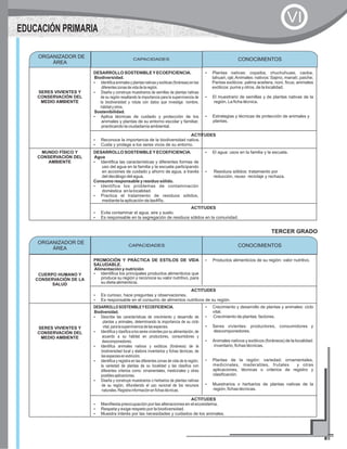 SERES VIVIENTES Y
CONSERVACIÓN DEL
MEDIO AMBIENTE
DESARROLLO SOSTENIBLEYECOEFICIENCIA.
Biodiversidad.
?Identificaanimalesyplantasnativasyexóticas(foráneas)enlas
diferenteszonasdevidadelaregión.
?Diseña y construye muestrarios de semillas de plantas nativas
de su región resaltando la importancia para la supervivencia de
la biodiversidad y rotula con datos que investiga: nombre,
hábitatyotros.
Sostenibilidad.
?Aplica técnicas de cuidado y protección de los
animales y plantas de su entorno escolar y familiar,
practicando la ciudadanía ambiental.
?Plantas nativas: copaiba, chuchuhuasi, caoba,
tahuari, ojé;Animales: nativos: Sajino, manatí, paiche;
Pantas exóticos: palma aceitera, noni, ficus; animales
exóticos: puma y otros, de la localidad.
?El muestrario de semillas y de plantas nativas de la
región. La ficha técnica.
?Estrategias y técnicas de protección de animales y
plantas.
ACTITUDES
?Reconoce la importancia de la biodiversidad nativa.
?Cuida y protege a los seres vivos de su entorno.
MUNDO FÍSICO Y
CONSERVACIÓN DEL
AMBIENTE
DESARROLLO SOSTENIBLEYECOEFICIENCIA.
Agua
?Identifica las características y diferentes formas de
uso del agua en la familia y la escuela participando
en acciones de cuidado y ahorro de agua, a través
del decálogo del agua.
Consumo responsable y residuo sólido.
?Identifica los problemas de contaminación
doméstica en la localidad.
?Practica el tratamiento de residuos sólidos,
mediante la aplicación de las4Rs.
?El agua: usos en la familia y la escuela.
?Residuos sólidos: tratamiento por
reducción, reuso reciclaje y rechaza.
ACTITUDES
?Evita contaminar el agua, aire y suelo.
?Es responsable en la segregación de residuos sólidos en la comunidad.
ORGANIZADOR DE
ÁREA
CONOCIMIENTOSCAPACIDADES
EDUCACIÓN PRIMARIA
CUERPO HUMANO Y
CONSERVACIÓN DE LA
SALUD
PROMOCIÓN Y PRÁCTICA DE ESTILOS DE VIDA
SALUDABLE.
Alimentación y nutrición
?Identifica los principales productos alimenticios que
produce su región y reconoce su valor nutritivo, para
su dieta alimenticia.
?Productos alimenticios de su región: valor nutritivo.
ACTITUDES
?Es curioso, hace preguntas y observaciones.
?Es responsable en el consumo de alimentos nutritivos de su región.
SERES VIVIENTES Y
CONSERVACIÓN DEL
MEDIO AMBIENTE
DESARROLLOSOSTENIBLEYECOEFICIENCIA.
Biodiversidad.
?Describe las características de crecimiento y desarrollo de
plantas y animales, determinando la importancia de su ciclo
vital,paralasupervivenciadelasespecies.
?Identifica y clasifica a los seres vivientes por su alimentación, de
acuerdo a su hábitat en productores, consumidores y
descomponedores.
?Identifica animales nativos y exóticos (foráneos) de la
biodiversidad local y elabora inventarios y fichas técnicas, de
lasespeciesenextinción.
?Identifica y registra en las diferentes zonas de vida de la región,
la variedad de plantas de su localidad y las clasifica con
diferentes criterios como: ornamentales, medicinales y otras
posiblesaplicaciones.
?Diseña y construye muestrarios o herbarios de plantas nativas
de su región, difundiendo el uso racional de los recursos
naturales.Registrainformaciónenfichastécnicas.
?Crecimiento y desarrollo de plantas y animales: ciclo
vital.
?Crecimiento de plantas: factores.
?Seres vivientes: productores, consumidores y
descomponedores.
?Animales nativos y exóticos (foráneos) de la localidad:
inventario, fichas técnicas.
?Plantas de la región: variedad; ornamentales,
medicinales, maderables, frutales y otras
aplicaciones, técnicas o criterios de registro y
clasificación.
?Muestrarios o herbarios de plantas nativas de la
región; fichas técnicas.
ACTITUDES
?Manifiesta preocupación por las alteraciones en el ecosistema.
?Respeta y exige respeto por la biodiversidad.
?Muestra interés por las necesidades y cuidados de los animales.
TERCER GRADO
ORGANIZADOR DE
ÁREA
CONOCIMIENTOSCAPACIDADES
VI
 