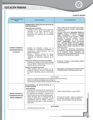 CUERPO HUMANO Y
CONSERVACIÓN DE
LA SALUD
PROMOCIÓN Y PRÁCTICA DE ESTILOS DE
VIDASALUDABLE.
Alimentación y nutrición
?Investiga el valor nutritivo de los alimentos
utilizados en la dieta alimenticia que
consume, como parte de su cultura
alimentaria y lo relaciona con la pirámide
nutricional.
?Clasifica los alimentos propios de su
localidad en: formadores, energéticos y
reguladores, relacionándolos con los
hábitos alimenticios.
?Diseña y elabora menúes de dietas
integrales, apropiadas para su edad,
utilizando los alimentos nutritivos de la
región.
Prevención frente al consumo de drogas.
?Investiga los efectos nocivos para la salud
física y mental, relacionado al consumo de
alcohol, tabaco y otras drogas.
Hábitos de higiene personal.
?Utiliza técnicas para la limpieza de los
sanitarios (baños y letrinas) manteniendo
su entorno saludable, para su conveniente
uso.
?Valor nutritivo de los alimentos de la región:
energías, proteínas, grasas, carbohidratos,
calcio, hierro.
?La dieta alimenticia: pescados frescos y
salados: zúngaro, acarahuazú, palometa,
bagre, carachama y otros; Frejoles:
Chiclayo pindaillo, frejol ucayalino, castilla;
carnes de monte: venado, motelo,
huangana, verduras: ají dulce, chonta,
pepino; tubérculos: pituca, sachapapa,
yuca, dale dale; frutas: carambola, aguaje,
pijuayo, caimito, guaba, guayaba, bebidas:
aguajina chapo, masato, ungurahuina, shibe,
pururuca, y otros.
?Los alimentos: alimentos formadores,
energéticos y reguladores alimentos propios
de la localidad. Dietas integrales. Los
menúes según edad: elaboración de menués
naturales con alimentos de su región.
?El alcohol, el tabaco y otras drogas: efectos
nocivos en la salud.
?Estrategias y técnicas para la limpieza de los
sanitarios (baños o letrinas) y para su uso.
ACTITUDES
?Aprecia con agrado la importancia de consumir alimentos nutritivos.
?Aplica con empeño estrategias para protegerse.
?Contribuye en la higiene de los sanitarios de la escuela.
SERES VIVIENTES Y
CONSERVACIÓN DEL
MEDIO AMBIENTE
D E S A R R O L L O S O S T E N I B L E Y
ECOEFICIENCIA.
Sostenibilidad.
?Investiga los mecanismos de reproducción
para asegurar la continuidad de la vida de
las especies de animales y plantas de la
región haciendo uso de la tecnología limpia.
?Aplica técnicas para la recuperación de
recursos deteriorados, siguiendo normas
establecidas para el cuidado, crianza y
protección de animales y cultivo de plantas
regionales.
?Sistema agroecológico escolar (SAE).
?Técnicas de cuidado, crianza y protección
de animales nativos y cultivo de plantas
nativas de la localidad. Normas técnicas.
ACTITUDES
?Respeta toda forma de vida.
CUARTO GRADO
ORGANIZADOR DE
ÁREA
CONOCIMIENTOSCAPACIDADES
EDUCACIÓN PRIMARIA
VI
 