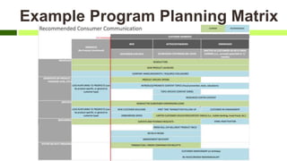 Example Program Planning Matrix
 