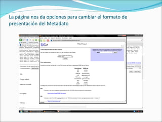 La página nos da opciones para cambiar el formato de presentación del Metadato 
