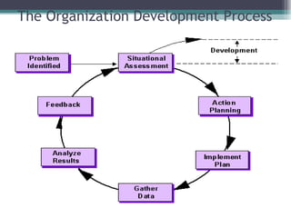 The Organization Development Process 