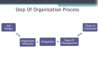 Step Of Organization Process 