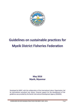 MDFF_Guidelines_Print version_FINAL_Low Res