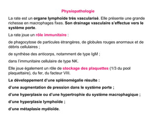 Physiopathologie
La rate est un organe lymphoïde très vascularisé. Elle présente une grande
richesse en macrophages fixes. Son drainage vasculaire s’effectue vers le
système porte.
La rate joue un rôle immunitaire :
de phagocytose de particules étrangères, de globules rouges anormaux et de
débris cellulaires ;
de synthèse des anticorps, notamment de type IgM ;
dans l’immunitaire cellulaire de type NK.
Elle joue également un rôle de stockage des plaquettes (1/3 du pool
plaquettaire), du fer, du facteur VIII.
Le développement d’une splénomégalie résulte :
d’une augmentation de pression dans le système porte ;
d’une hyperplasie ou d’une hypertrophie du système macrophagique ;
d’une hyperplasie lymphoïde ;
d’une métaplasie myéloïde.
 