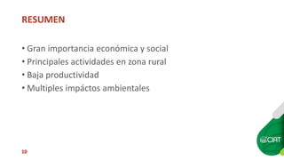 Sellos de carne eco amigable y de bienestar animal: están los consumidores de Cali dispuestos a pagar más?
