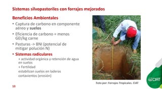 Sellos de carne eco amigable y de bienestar animal: están los consumidores de Cali dispuestos a pagar más?