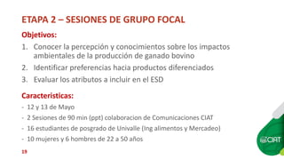 Sellos de carne eco amigable y de bienestar animal: están los consumidores de Cali dispuestos a pagar más?
