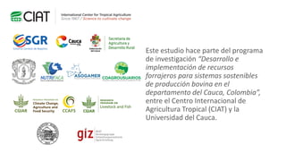 Sellos de carne eco amigable y de bienestar animal: están los consumidores de Cali dispuestos a pagar más?