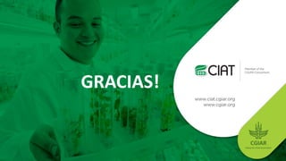 Sellos de carne eco amigable y de bienestar animal: están los consumidores de Cali dispuestos a pagar más?