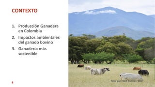 Sellos de carne eco amigable y de bienestar animal: están los consumidores de Cali dispuestos a pagar más?