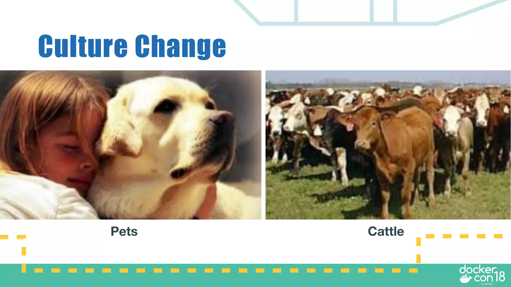 Culture Change
Pets Cattle
 