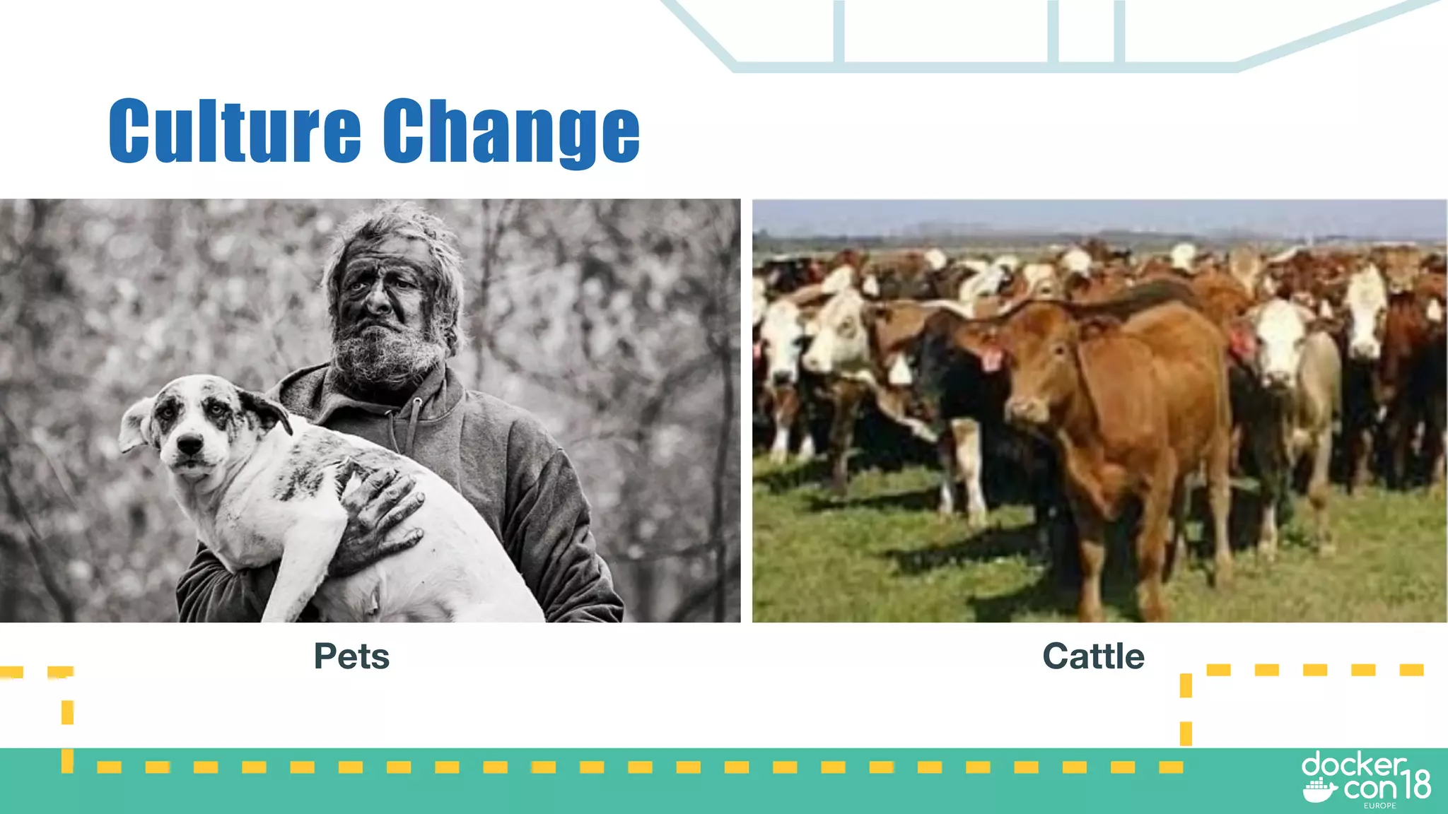 Culture Change
Pets Cattle
 