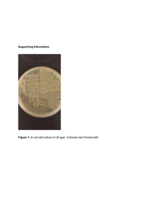 Supporting Information
Figure 1: E.coli cell culture in LB agar. Colonies had formed well.
 