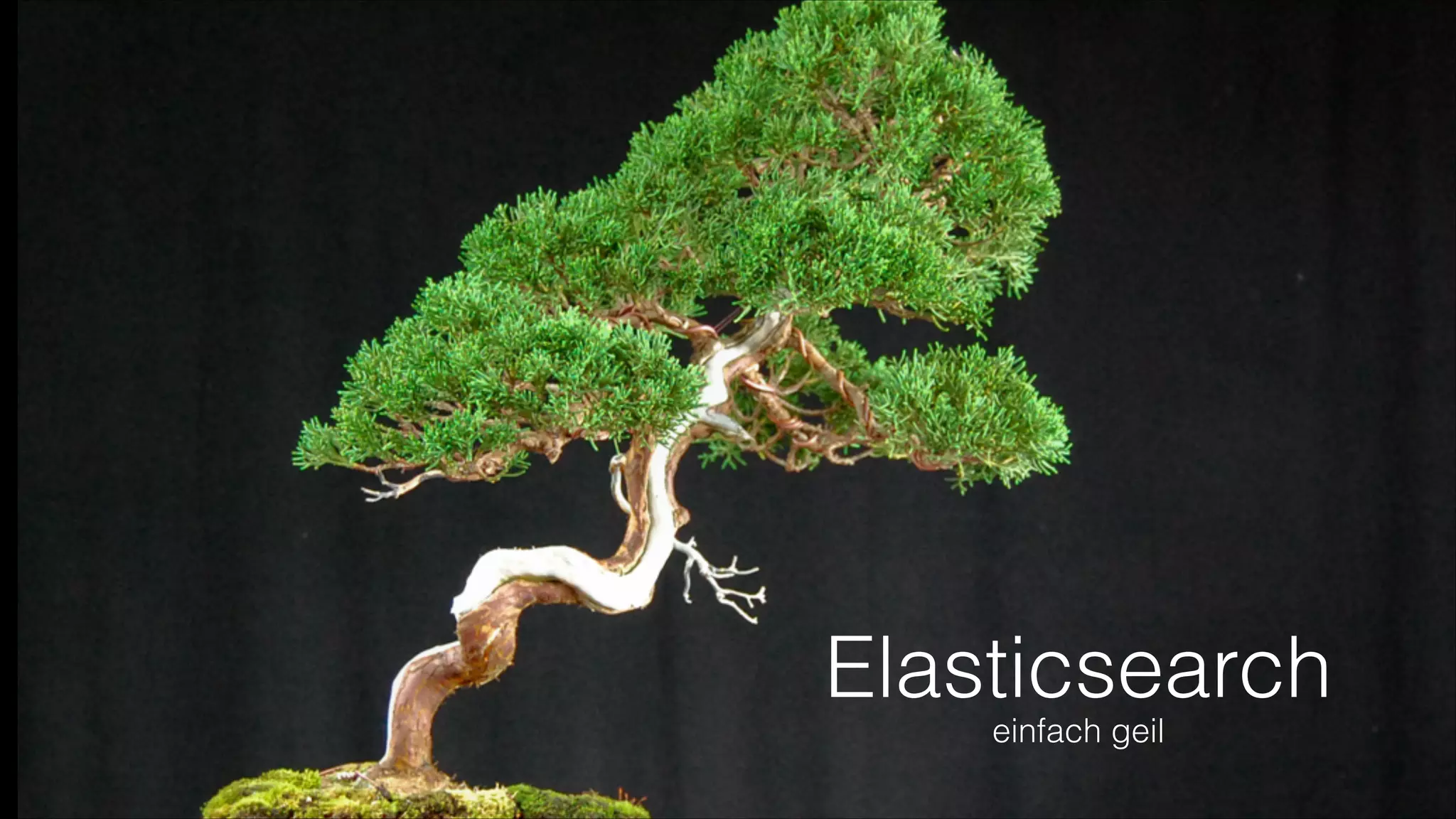 Elasticsearch
einfach geil

 