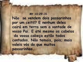 Mt 10:29-31
Não se vendem dois passarinhos
por um ceitil? E nenhum deles
cairá em terra sem a vontade de
vosso Pai. E até mesmo os cabelos
da vossa cabeça estão todos
contados. Não temais, pois; mais
valeis vós do que muitos
passarinhos.
 