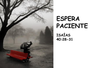 ESPERA
PACIENTE
ISAÍAS
40:28-31
 