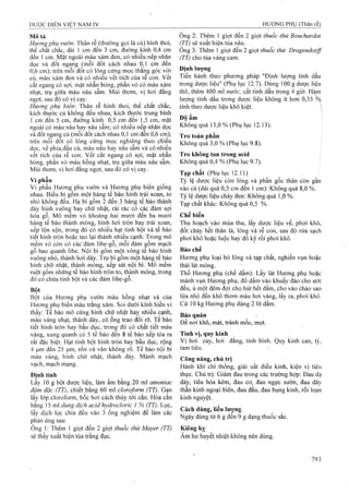 Dược điển việt nam iv 2009 (1)