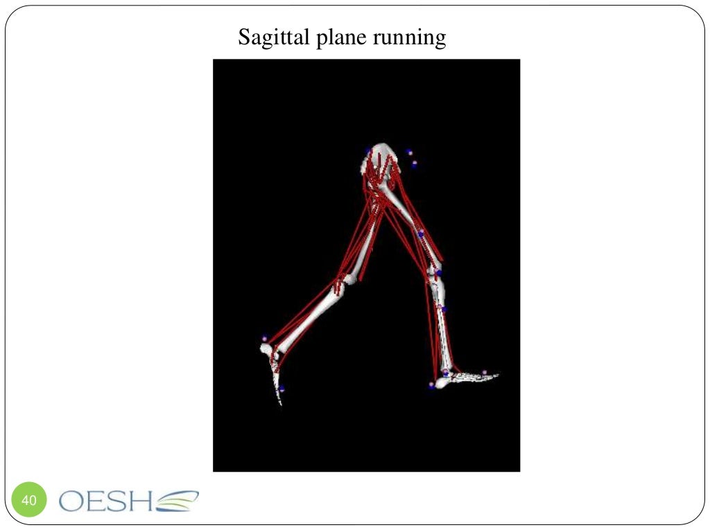 Healthy Shoe Design How shoes affect joints