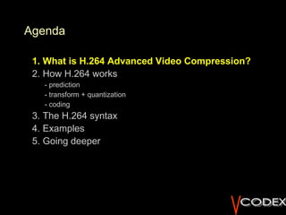 Introduction to H.264 Advanced Video Compression | PPT
