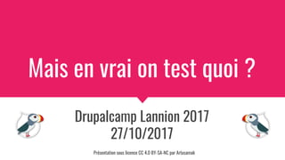Mais en vrai on test quoi ?
Drupalcamp Lannion 2017
27/10/2017
Présentation sous licence CC 4.0 BY-SA-NC par Artusamak
 