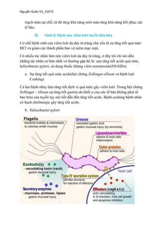 II.
).
a. -
Cushing)
–
b. Helicobacter pylori
 