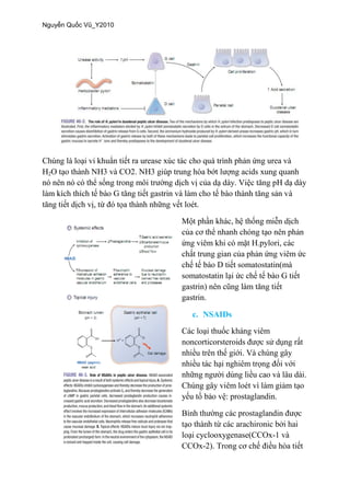 H2O
gastrin.
c. NSAIDs
noncorticor
-
-
 