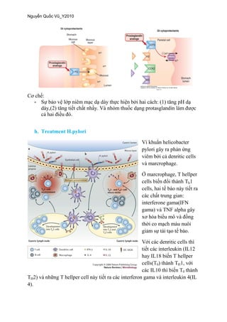 -
h. Treatment H.pylori
ophage.
h
interferone gama(IFN
gama)
hay IL18
cells(T0) H
0
TH
4).
 