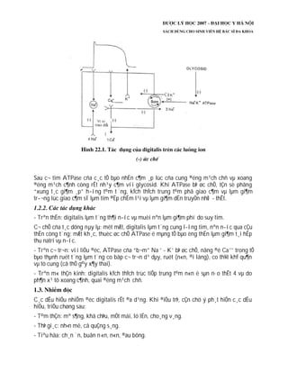 Sau c¬ tim ATPase cña c¸c tÕ bµo nhËn c¶m ¸p lùc cña cung ®éng m¹ch chñ vµ xoang
®éng m¹ch c¶nh còng rÊt nh¹y c¶m víi glycosid. Khi ATPase bÞ øc chÕ, tÇn sè phãng
“xung t¸c gi¶m ¸p” h­íng t©m t¨ng, kÝch thÝch trung t©m phã giao c¶m vµ lµm gi¶m
tr­¬ng lùc giao c¶m sÏ lµm tim ®Ëp chËm l¹i vµ lµm gi¶m dÉn truyÒn nhÜ - thÊt.
- Trªn thËn: digitalis lµm t¨ng th¶i n­íc vµ muèi nªn lµm gi¶m phï do suy tim.
C¬ chÕ cña t¸c dông nµy lµ: mét mÆt, digitalis lµm t¨ng cung l­îng tim, nªn n­íc qua cÇu
thËn còng t¨ng; mÆt kh¸c, thuèc øc chÕ ATPase ë mµng tÕ bµo èng thËn lµm gi¶m t¸i hÊp
thu natri vµ n­íc.
- Trªn c¬ tr¬n: víi liÒu ®éc, ATPase cña “b¬m” Na +
- K+
bÞ øc chÕ, nång ®é Ca++
trong tÕ
bµo thµnh ruét t¨ng lµm t¨ng co bãp c¬ tr¬n d¹ dµy, ruét (n«n, ®i láng), co th¾t khÝ qu¶n
vµ tö cung (cã thÓ g©y x¶y thai).
- Trªn m« thÇn kinh: digitalis kÝch thÝch trùc tiÕp trung t©m n«n ë sµn n·o thÊt 4 vµ do
ph¶n x¹ tõ xoang c¶nh, quai ®éng m¹ch chñ.
C¸c dÊu hiÖu nhiÔm ®éc digitalis rÊt ®a d¹ng. Khi ®iÒu trÞ, cÇn chó ý ph¸t hiÖn c¸c dÊu
hiÖu, triÖu chøng sau:
- T©m thÇn: mª s¶ng, khã chÞu, mÖt mái, ló lÉn, cho¸ng v¸ng.
- ThÞ gi¸c: nh×n mê, cã quÇng s¸ng.
- Tiªu hãa: ch¸n ¨n, buån n«n, n«n, ®au bông.
 